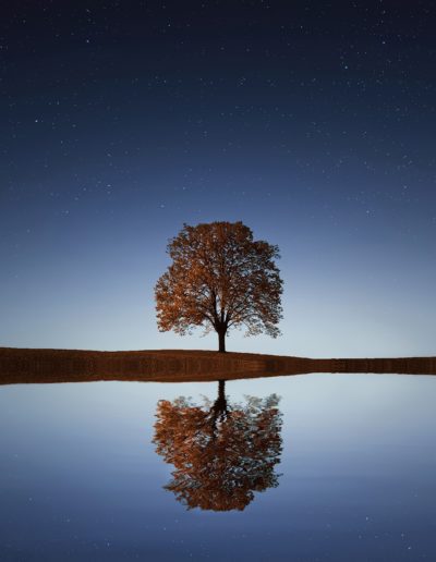 Tree and Moon Reflection in Water